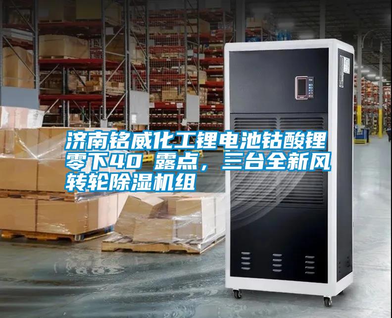 濟(jì)南銘威化工鋰電池鈷酸鋰零下40℃露點(diǎn)，三臺(tái)全新風(fēng)轉(zhuǎn)輪除濕機(jī)組