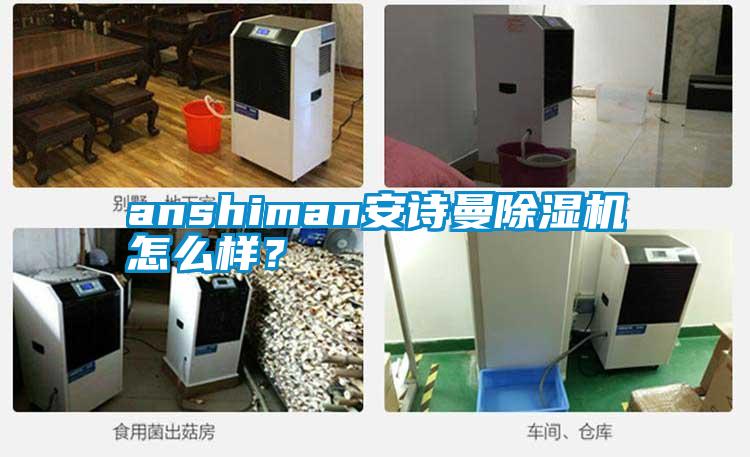 anshiman安詩曼除濕機怎么樣？