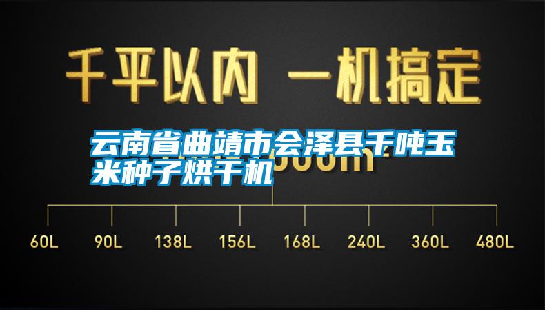 云南省曲靖市會(huì)澤縣千噸玉米種子烘干機(jī)