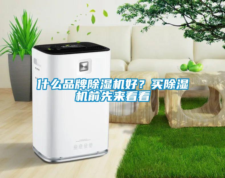 什么品牌除濕機好？買除濕機前先來看看