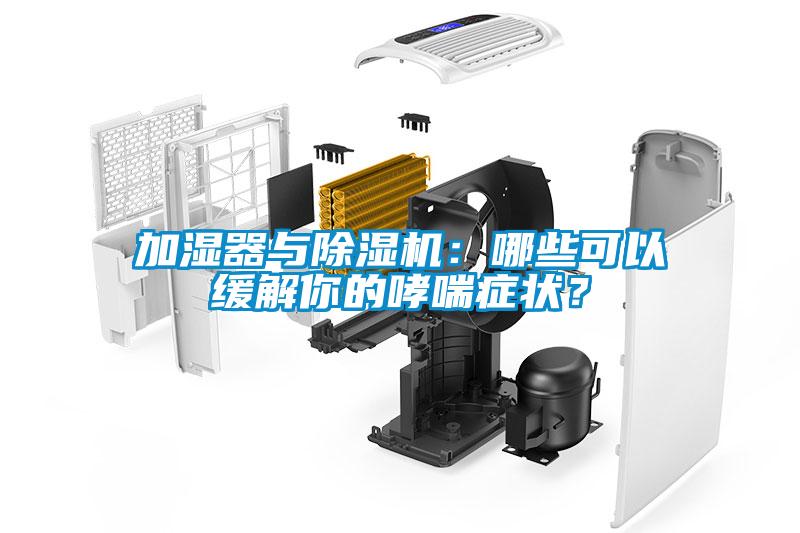 加濕器與除濕機(jī)：哪些可以緩解你的哮喘癥狀？