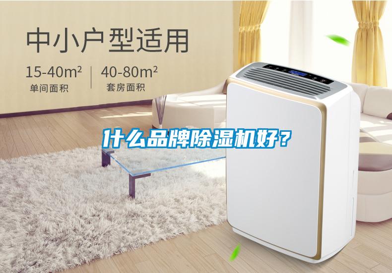 什么品牌除濕機(jī)好？