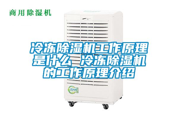 冷凍除濕機工作原理是什么 冷凍除濕機的工作原理介紹