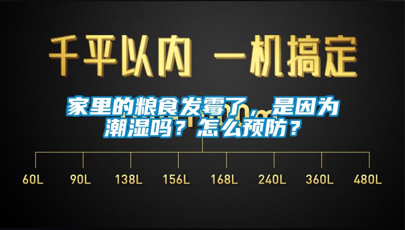 家里的糧食發(fā)霉了，是因為潮濕嗎？怎么預(yù)防？