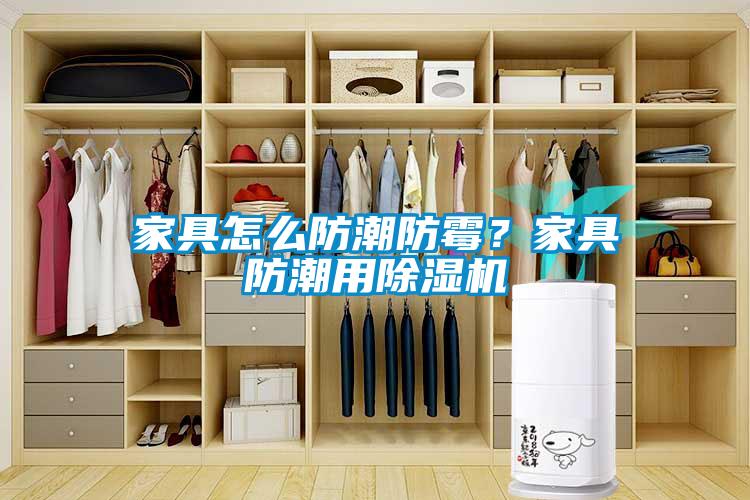 家具怎么防潮防霉？家具防潮用除濕機