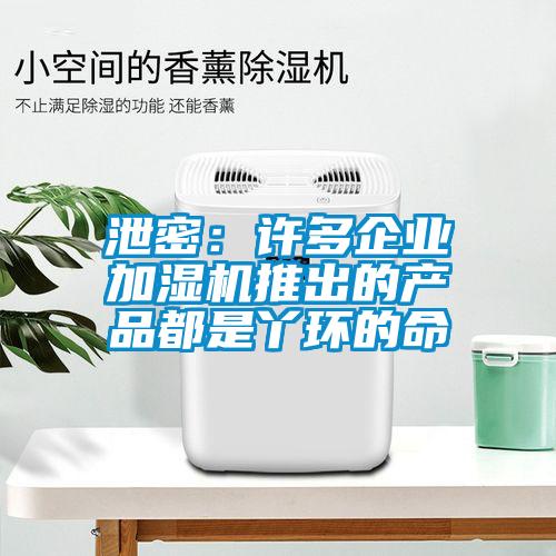 泄密：許多企業(yè)加濕機推出的產(chǎn)品都是丫環(huán)的命