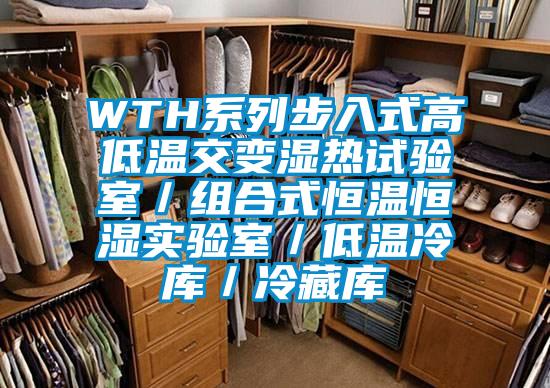 WTH系列步入式高低溫交變濕熱試驗室／組合式恒溫恒濕實驗室／低溫冷庫／冷藏庫