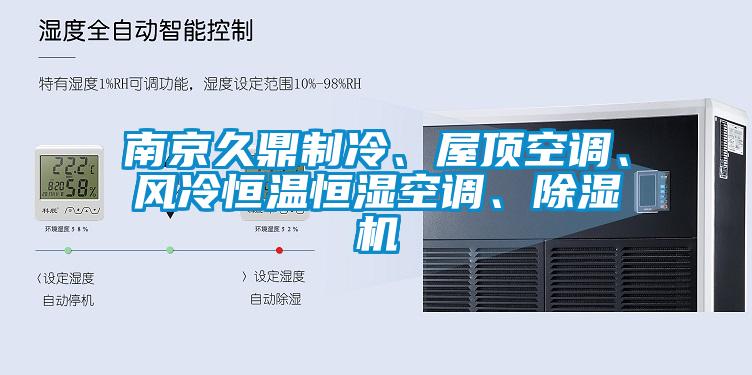 南京久鼎制冷、屋頂空調、風冷恒溫恒濕空調、除濕機