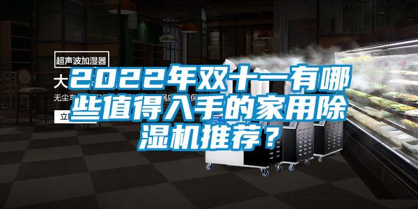 2022年雙十一有哪些值得入手的家用除濕機(jī)推薦？