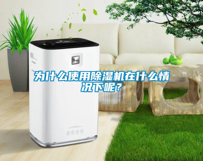 為什么使用除濕機(jī)在什么情況下呢？