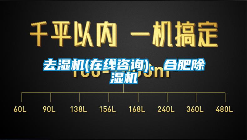 去濕機(jī)(在線咨詢)、合肥除濕機(jī)