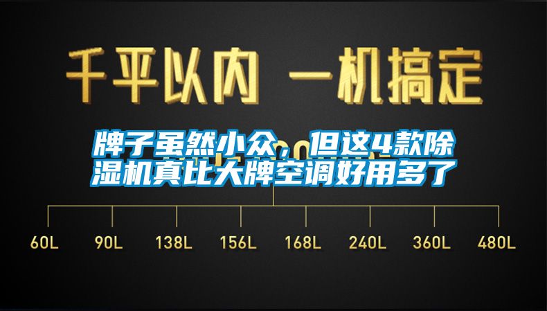 牌子雖然小眾，但這4款除濕機真比大牌空調(diào)好用多了