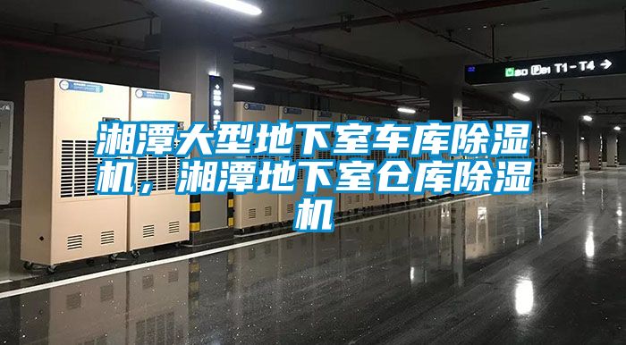 湘潭大型地下室車庫(kù)除濕機(jī)，湘潭地下室倉(cāng)庫(kù)除濕機(jī)