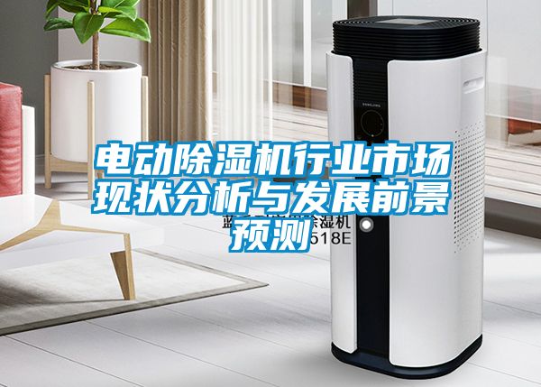 電動除濕機行業(yè)市場現(xiàn)狀分析與發(fā)展前景預(yù)測