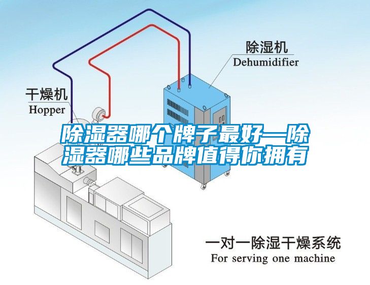 除濕器哪個牌子最好—除濕器哪些品牌值得你擁有