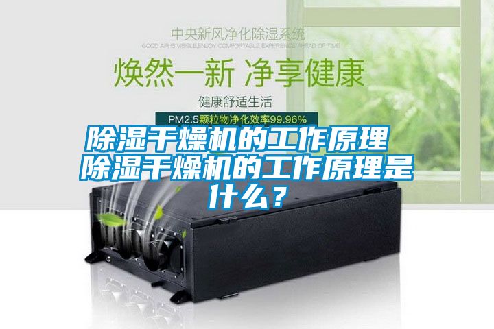 除濕干燥機的工作原理 除濕干燥機的工作原理是什么？