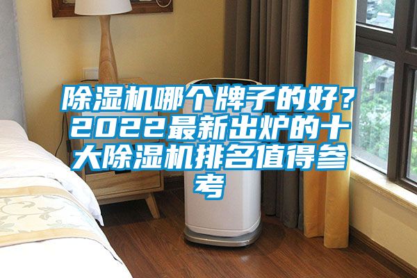 除濕機哪個牌子的好？2022最新出爐的十大除濕機排名值得參考