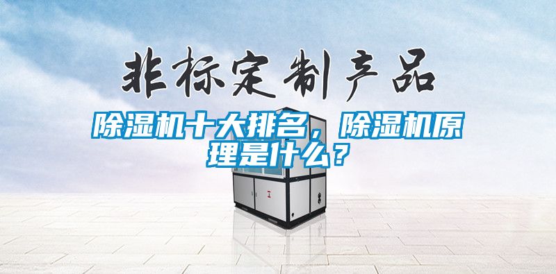 除濕機十大排名，除濕機原理是什么？