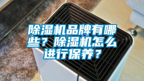 除濕機品牌有哪些？除濕機怎么進(jìn)行保養(yǎng)？