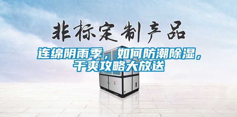 連綿陰雨季，如何防潮除濕，干爽攻略大放送