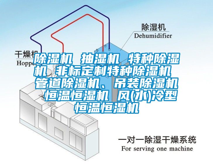 除濕機 抽濕機 特種除濕機 非標定制特種除濕機 管道除濕機、吊裝除濕機 恒溫恒濕機 風(水)冷型恒溫恒濕機