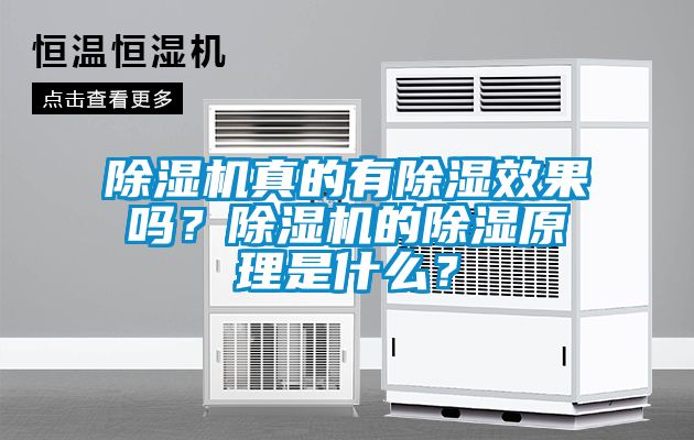 除濕機真的有除濕效果嗎？除濕機的除濕原理是什么？