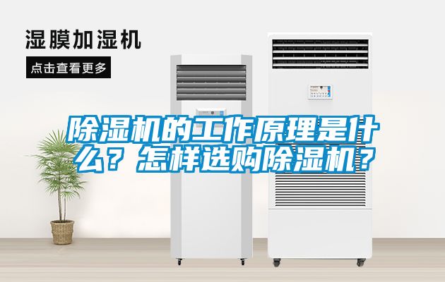 除濕機(jī)的工作原理是什么？怎樣選購除濕機(jī)？