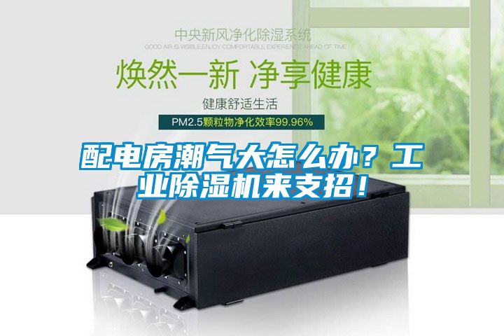 配電房潮氣大怎么辦？工業(yè)除濕機(jī)來支招！