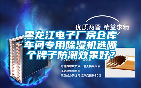 黑龍江電子廠房倉庫車間專用除濕機選哪個牌子防潮效果好？