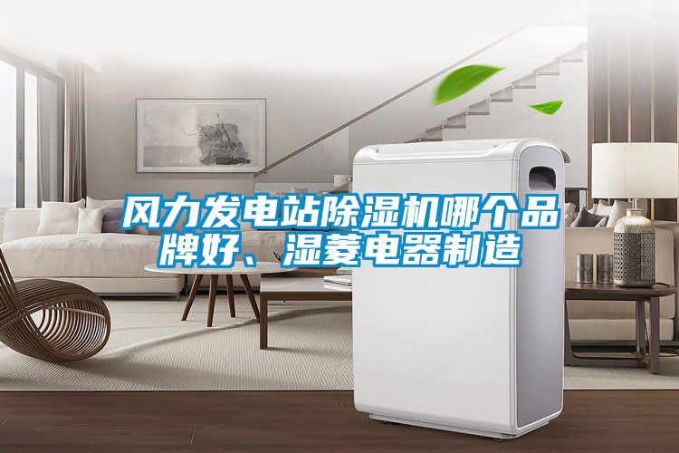 風(fēng)力發(fā)電站除濕機哪個品牌好、濕菱電器制造