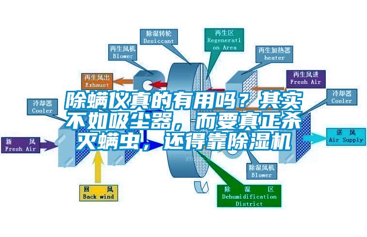 除螨儀真的有用嗎？其實不如吸塵器，而要真正殺滅螨蟲，還得靠除濕機